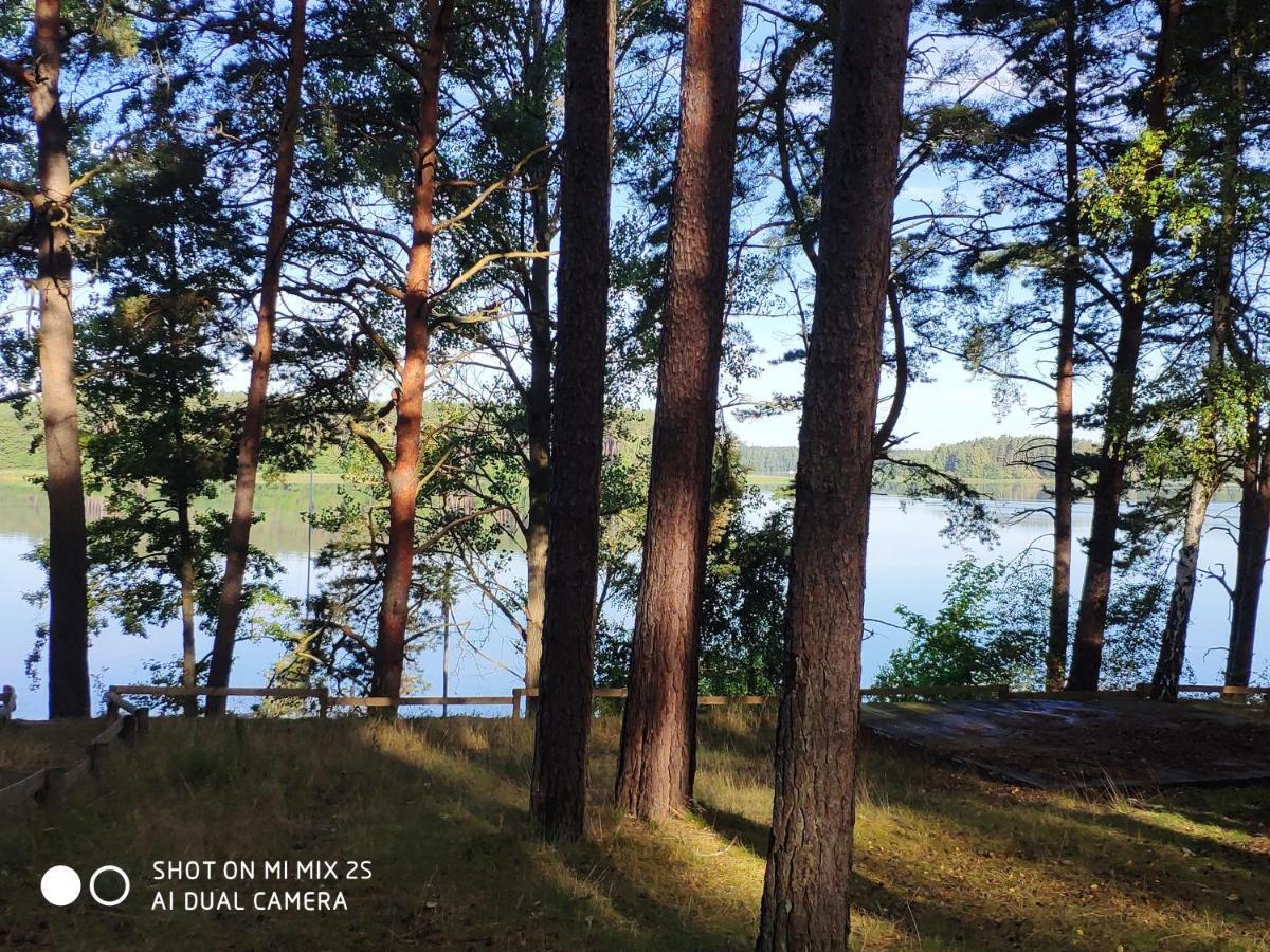 Sloneczny Domek Borsk Nr 2 I 15 - Nad Samym Jeziorem W Pierwszej Linii Bagian luar foto